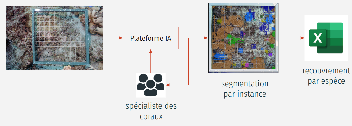 image alt text